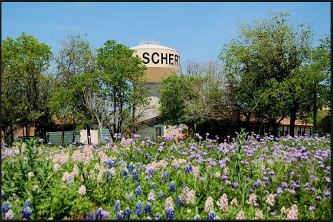 Schertz Texas Public Insurance Adjusters
