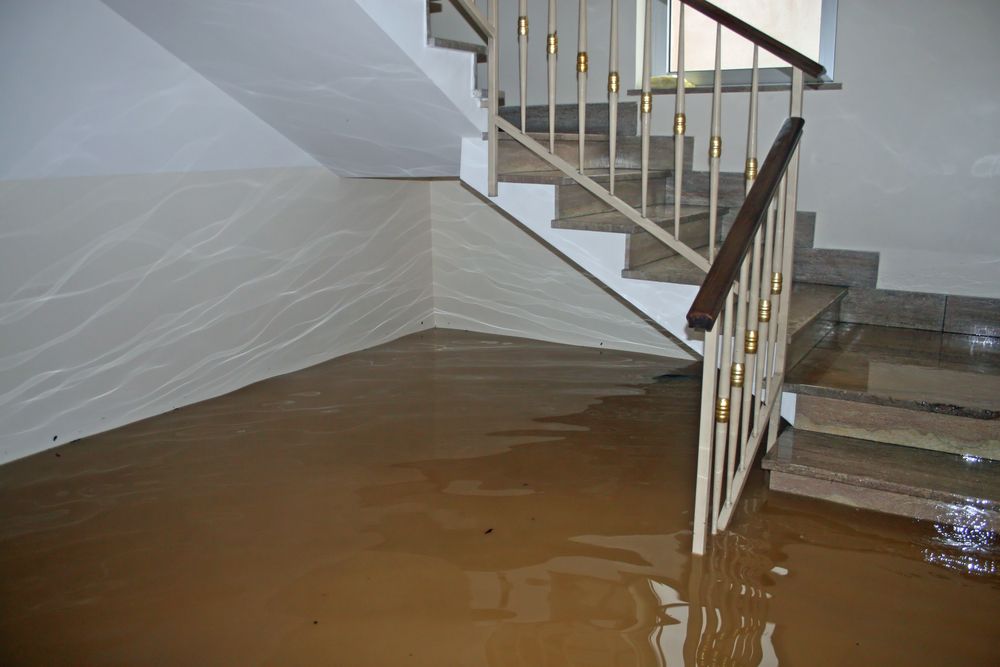 The Best Water Damage Insurance Claims Tips | ClaimsMate