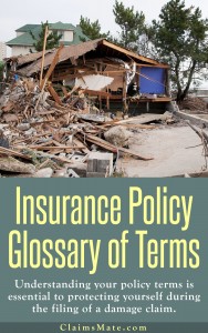 Insurance Policy Glossary of Terms