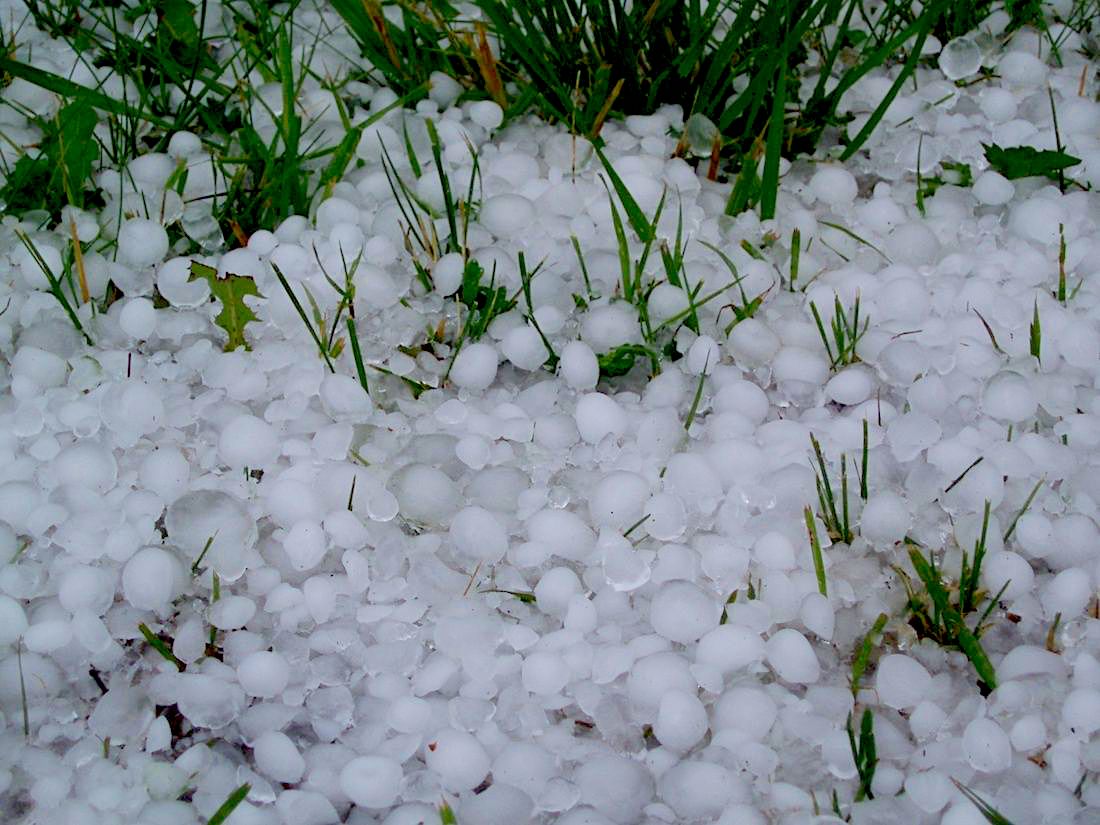 Hail Damage Insurance Claims