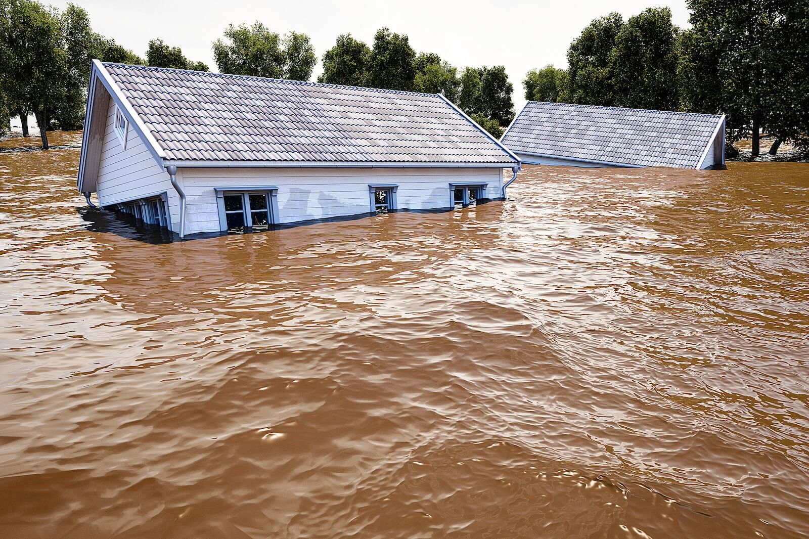 Houses in a Severe Flood