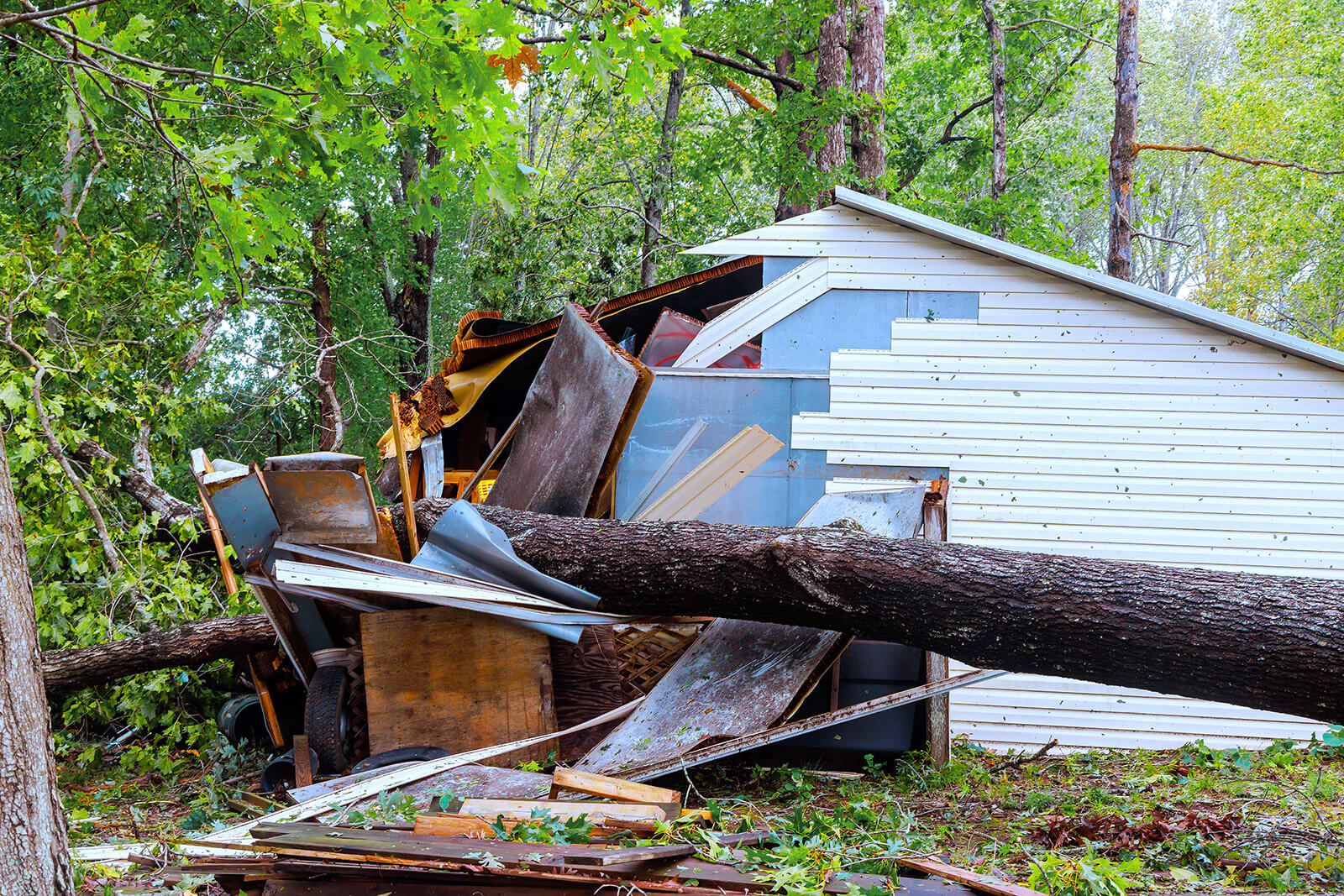 Tree Fallen on Top of House