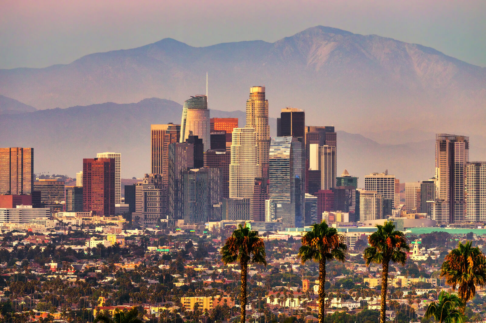 Los Angeles Public Adjusters