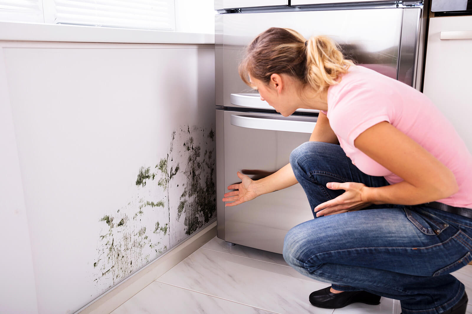 Mold Damage After Storm